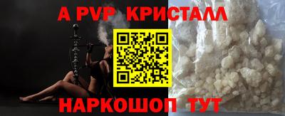 СК Будённовск