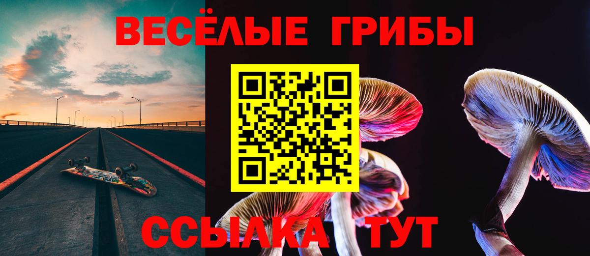 Псилоцибиновые грибы Psilocybine cubensis  Вход с VPN  Лянтор 